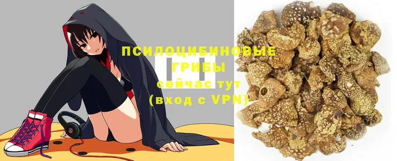 Где продают наркотики Муром Cocaine  МЕГА как зайти  Марихуана  Alpha PVP 